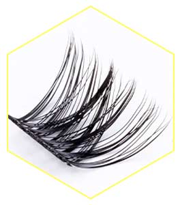 eyelash extensions products suppliers | weora