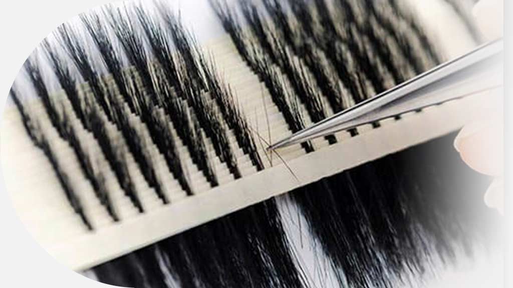 eyelash wholesalers | weora