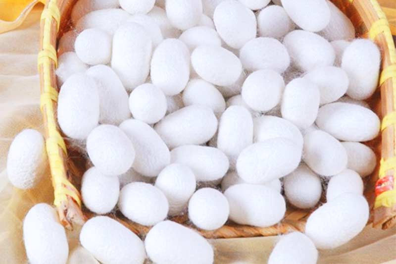 Silk protein eyelashes are fiber eyelashes | weora