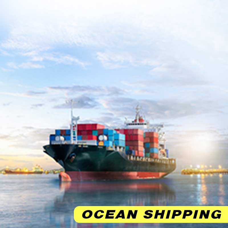 professional wholesale eyelash suppliers | weora