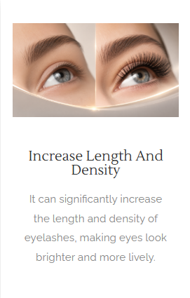 WEORA Private Label Eyelash Manufacturer
